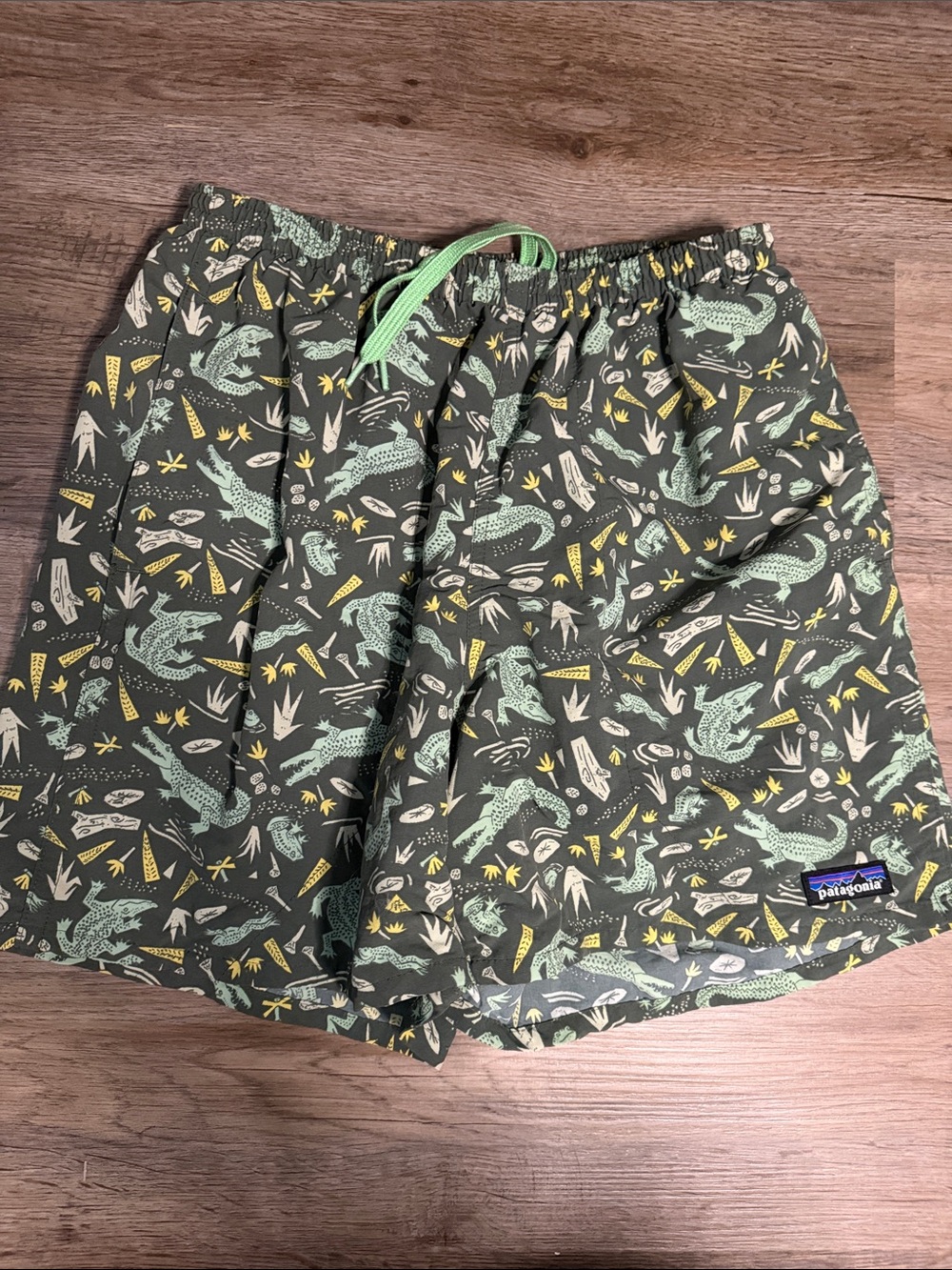 Patagonia Olive Green Printed Swim Trunks with Mint and Yellow Accents